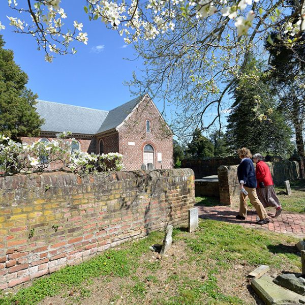 Blandford Church Museum and Cemetery