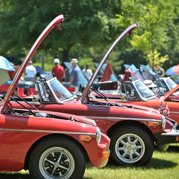 Dinwiddie Moss Motors Car Show 640 JHW_3366 The Best Part of Virginia