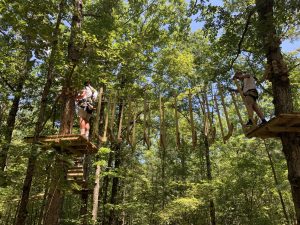 tree-top-obstacle-course